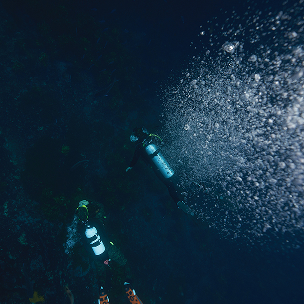 Two divers exploring underwater 